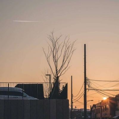 金博宝手机app下载